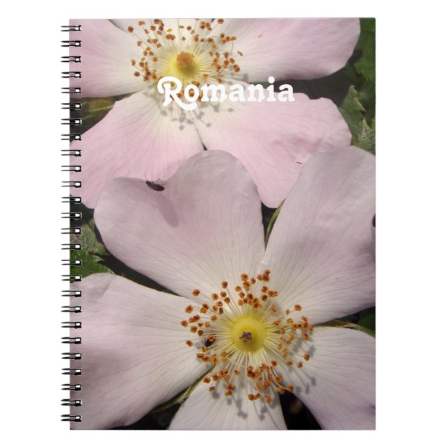 Cuaderno Rosa de perro (Frente)