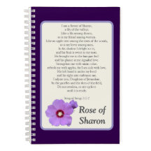 Rosa de Sharon