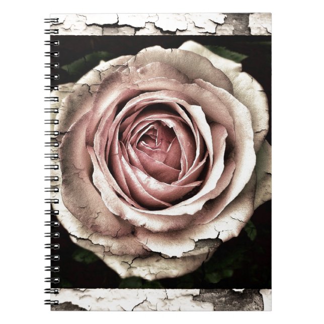 Cuaderno Rosa espléndido (Frente)