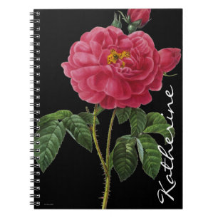 Cuaderno Rosa Gallica