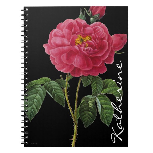 Cuaderno Rosa Gallica (Frente)