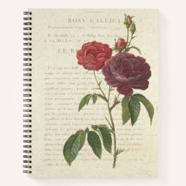 Cuaderno Rosa Gallica