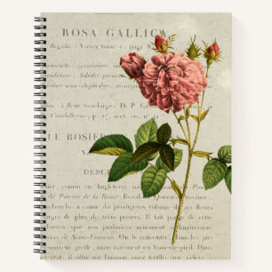 Cuaderno Rosa Gallica Regalis
