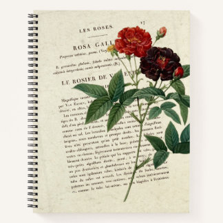 Cuaderno Rosa gallica Van Eeden Gardener
