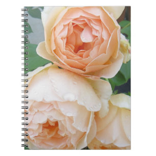 Cuaderno Rosa 'Jude el Oscuro'