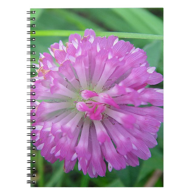 Cuaderno Rosa Kleeblüte (Frente)