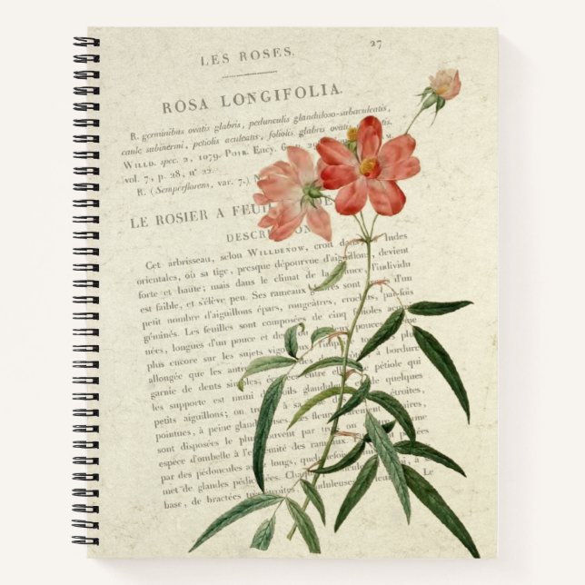 Cuaderno Rosa Longifolia Vintage (Anverso)