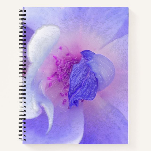 Cuaderno *~* Rosa modificado digitalmente de rosa a azul (Anverso)