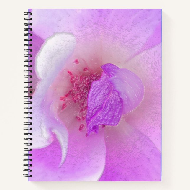 Cuaderno *~* Rosa modificado digitalmente de rosa a lavador (Anverso)