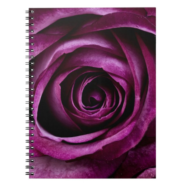Cuaderno Rosa Púrpura Elegante Primer Plano (Frente)