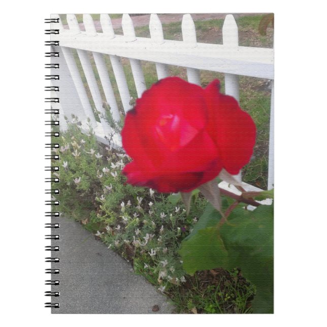 Cuaderno Rosa Red Solo (Frente)