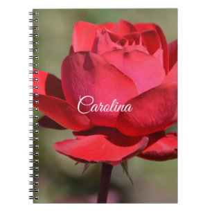 Cuaderno Rosa Roja