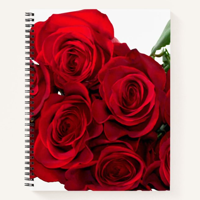 Cuaderno Rosa Roja (Anverso)