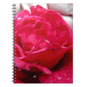 Cuaderno Rosa Roja