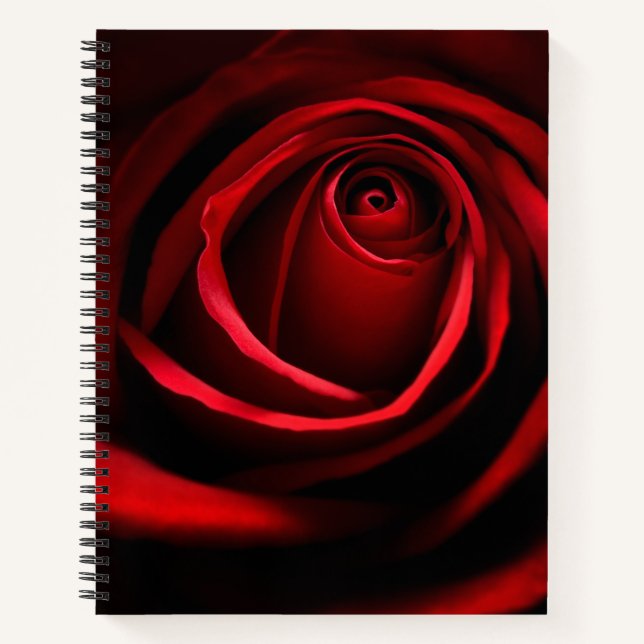 Cuaderno Rosa Roja (Anverso)
