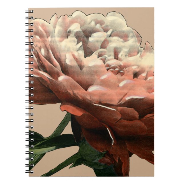 Cuaderno Rosa roja de rubí con acentos blancos (Frente)