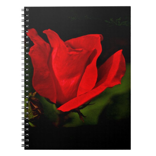 Cuaderno Rosa Roja - Pasión Oscura (Frente)
