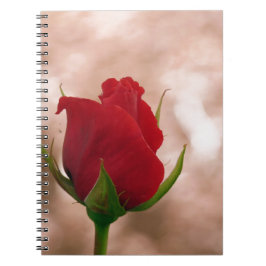 Cuaderno Rosa roja única