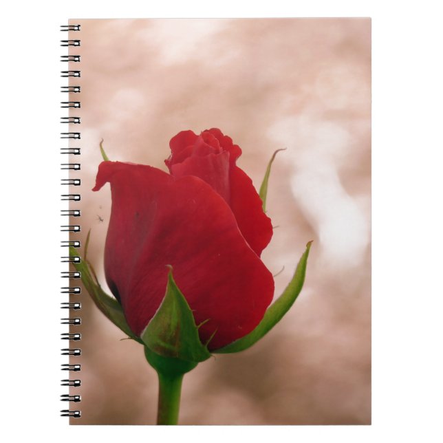 Cuaderno Rosa roja única (Frente)