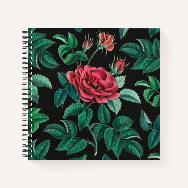 Cuaderno Rosa roja vintage (Anverso)