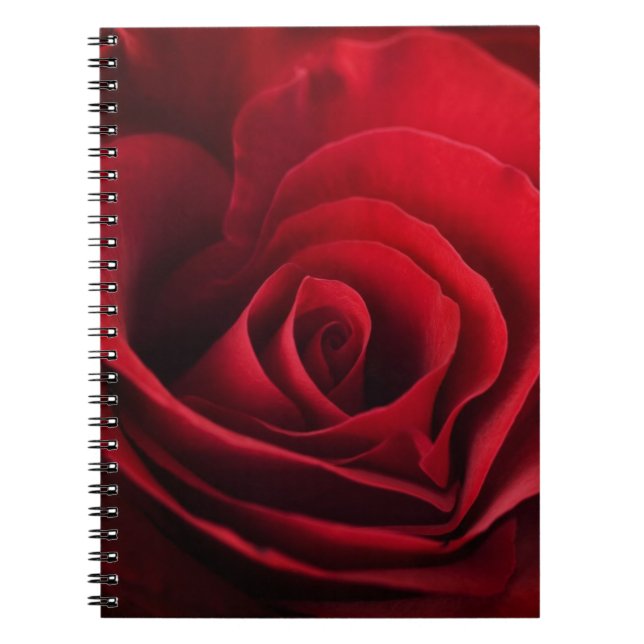 Cuaderno Rosa rojo de la tarjeta del día de San Valentín (Frente)