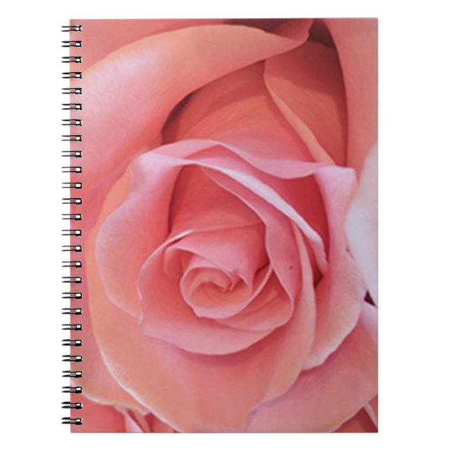 Cuaderno Rosa rosa (Frente)