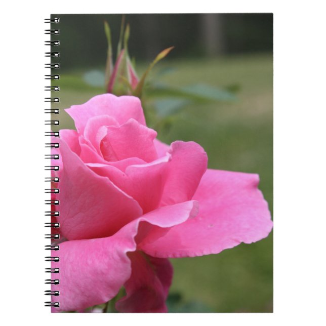 Cuaderno rosa rosa (Frente)