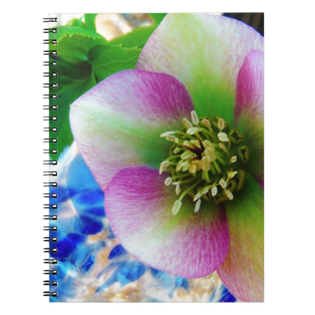 Cuaderno Rosa rosa de Cuaresma bola de vidrio azul (Frente)