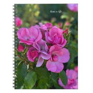Cuaderno Rosa rosa de lavanda