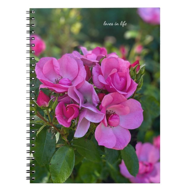 Cuaderno Rosa rosa de lavanda (Frente)