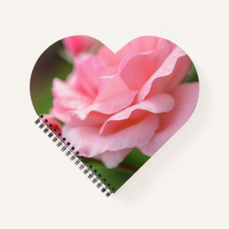 Cuaderno Rosa rosa envuelta en lienzo