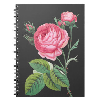 Cuaderno Rosa rosa floral moderno