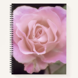 Cuaderno Rosa rosa magnífico