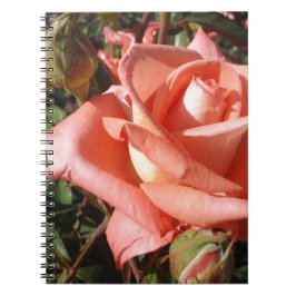 Cuaderno Rosa Rosa Melocotón