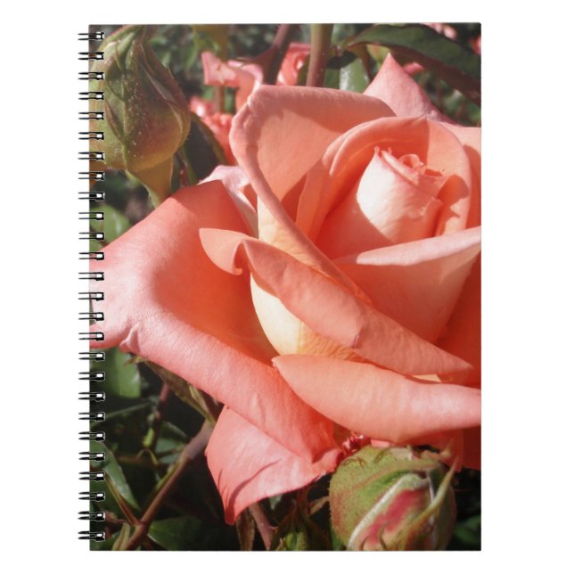 Cuaderno Rosa Rosa Melocotón (Frente)