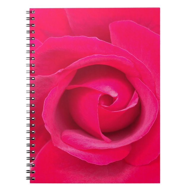 Cuaderno Rosa rosa rojo romántico (Frente)