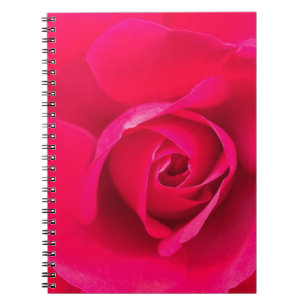 Cuaderno Rosa rosa rojo romántico v2