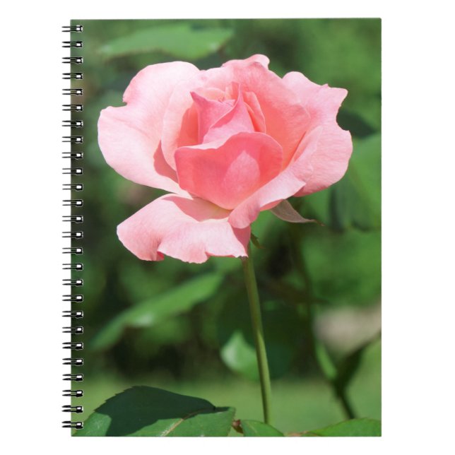 Cuaderno Rosa rosa rosa pálido (Frente)