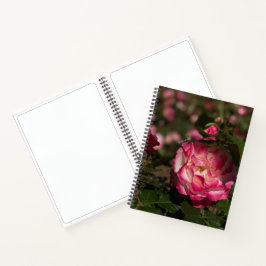 Cuaderno Rosa rosa y blanco, cubierta dura