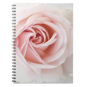 Cuaderno Rosa Rosado y Madera Blanca Shabby Chic Glam Casa 