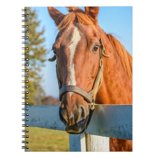 Cuaderno Rosa Twilight | Caballo de Raza Arrojada (Frente)