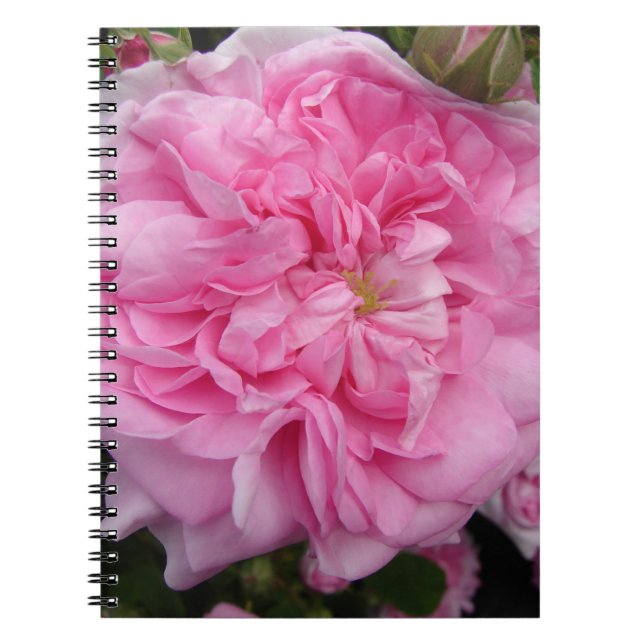 Cuaderno Rosa Vintage Rosa floral Flores (Frente)