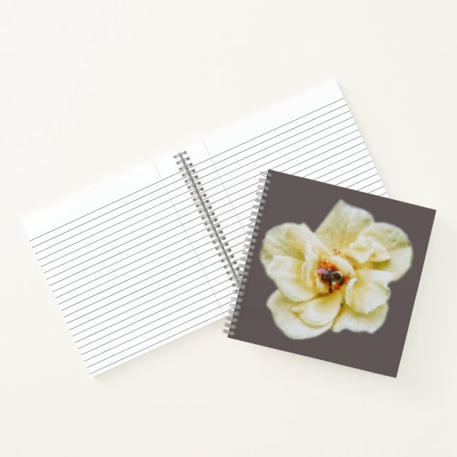 Cuaderno Rosa y abeja (Interior)