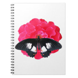 Cuaderno Rosa y cola de inflexión