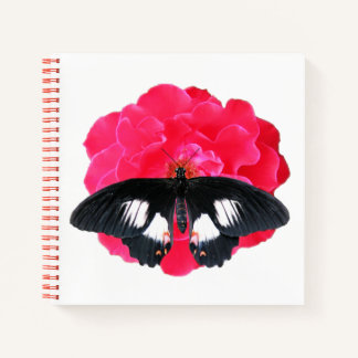 Cuaderno Rosa y cola de inflexión