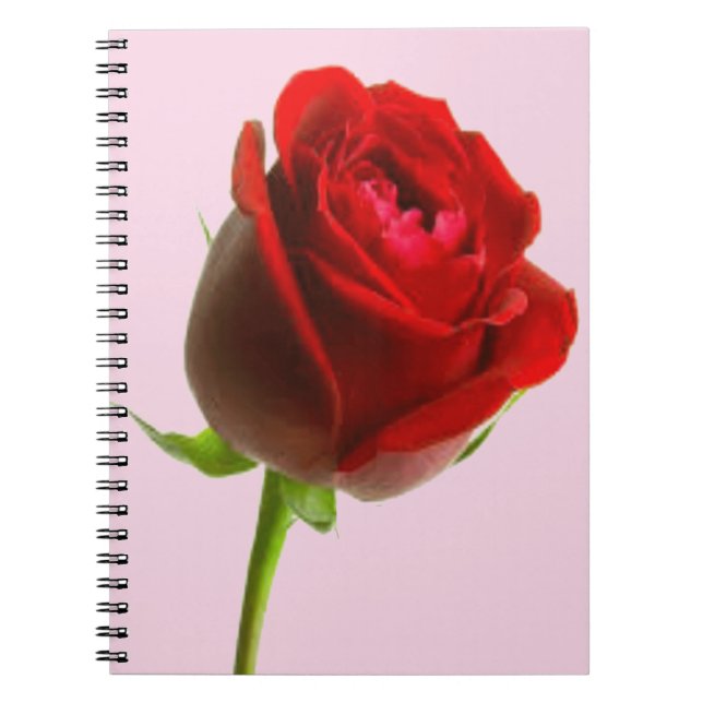 Cuaderno Rosa y rosa (Frente)