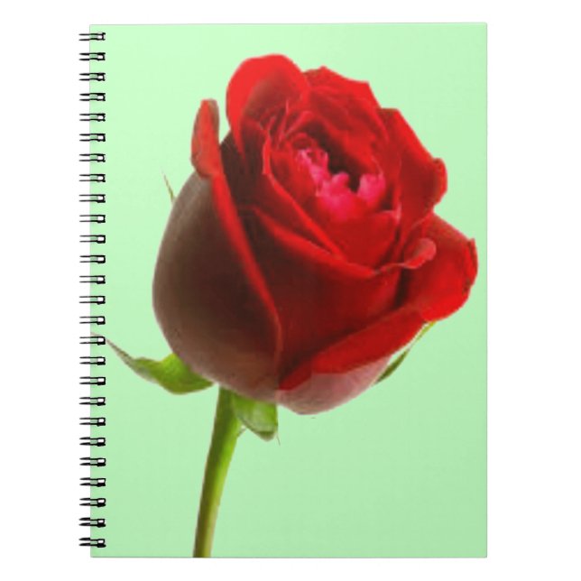 Cuaderno Rosa y verde (Frente)