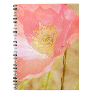 Cuaderno rosado de la amapola de Islandia