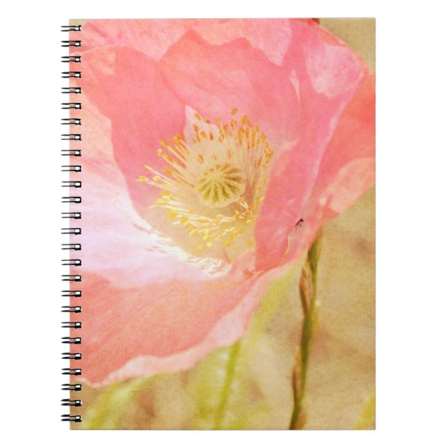 Cuaderno rosado de la amapola de Islandia (Frente)