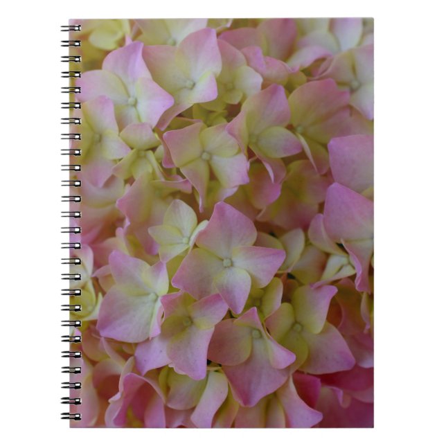 Cuaderno rosado del Hydrangea (Frente)